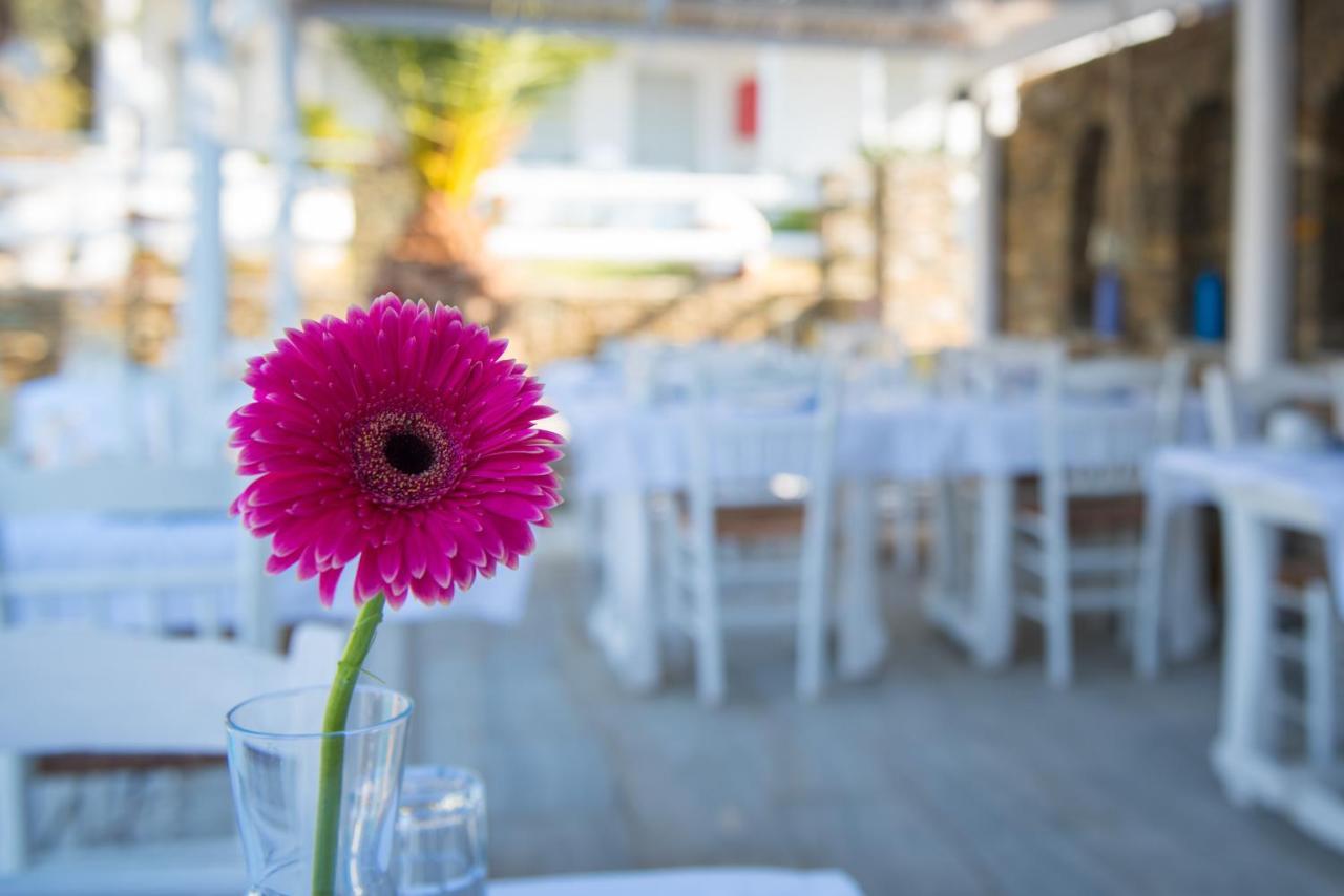 Villa Irini Platis Gialos  Ngoại thất bức ảnh